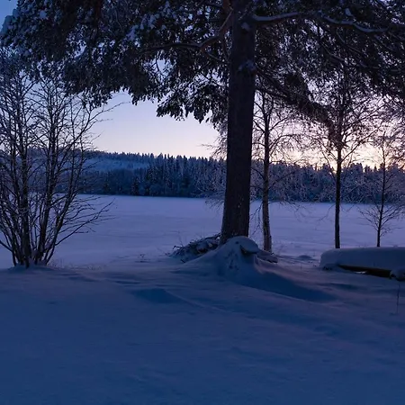 Mellalampi * Rovaniemi